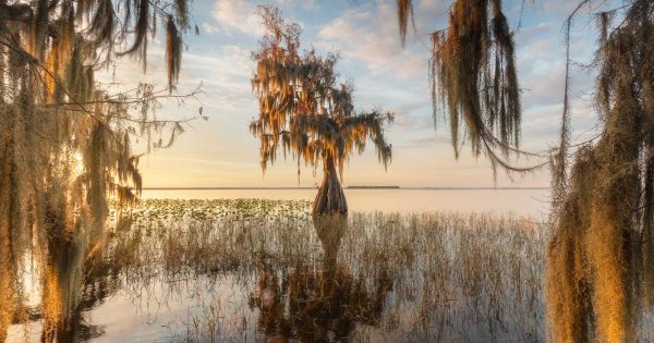 8 Best Places for Photography in Florida – Nature TTL