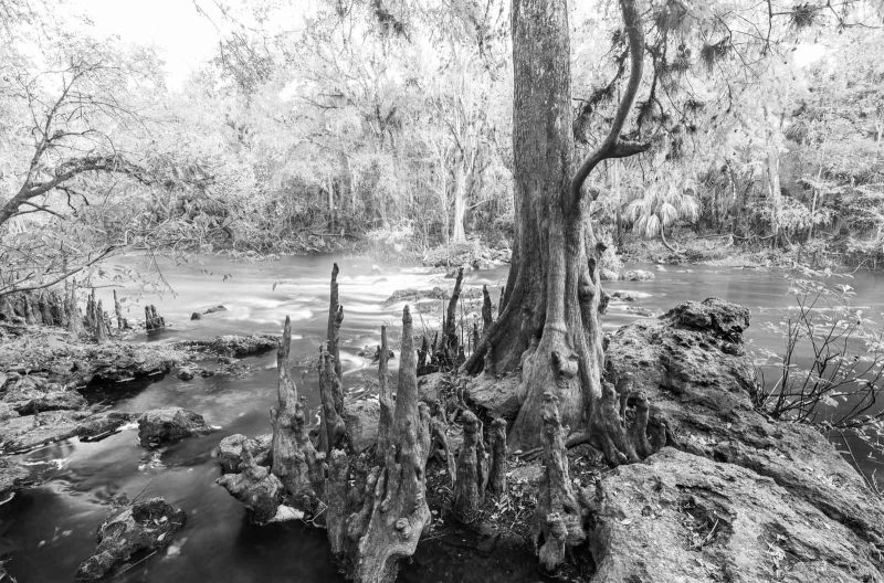 black and white landscape photography tips florida