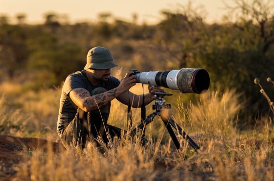 Marcus Westberg wildlife and conservation photographer