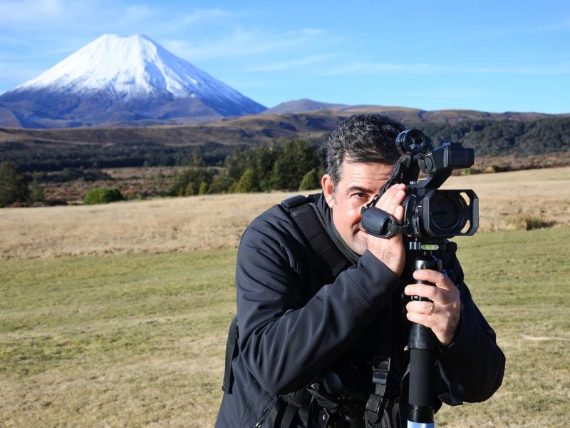 The Art of Minimalist Wildlife Photography Nature TTL