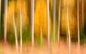 how to use intentional camera movement
