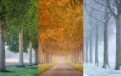 how to photograph the seasons