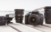 The Ultimate Guide to Wildlife Photography on a Budget